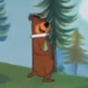 Meet your Posher, Elsa